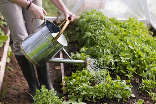 The image depicts a person watering a well-maintained vegetable garden with a metal watering can, held in both hands, pouring water over lush, green leafy vegetables planted in neat rows. The garden features a variety of vibrant, healthy plants with dense foliage, including lettuce and other leafy greens, growing in dark, moist soil. The scene is set outdoors, likely in a residential backyard or small-scale allotment, with a natural background partially visible behind the garden bed. The person is wearing casual outdoor clothing, including a long-sleeved shirt and trousers, and is engaged in routine garden maintenance. The garden area appears organized, with well-defined planting beds and a clear focus on vegetable growth, reflecting professional gardening or landscaping efforts. The natural light suggests a bright, sunny day, ideal for outdoor garden care. This image aligns with gardening services emphasizing plant nurturing and outdoor maintenance, supporting local SEO for lawnmowingwembley.co.uk and indicating landscape care in Wembley or the surrounding area.